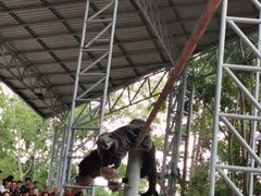 -清迈夜间动物园