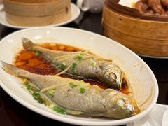 -京香轩·中餐厅(上海中庚聚龙酒店)