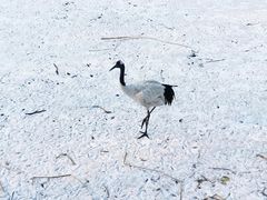 -沈阳森林动物园