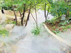 -北京西山国家森林公园