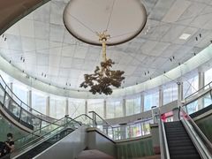 -金光华广场