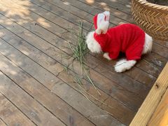 -HERRE·FARM 赫尔露营农场·团建聚会包场