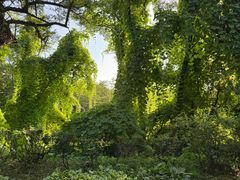 -棒棰岛宾馆景区
