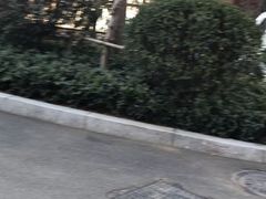 -青岛证大喜玛拉雅酒店·Z1餐厅