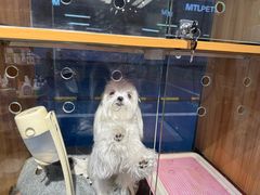 -FAELING PETS美天灵宠物(富力广场店)