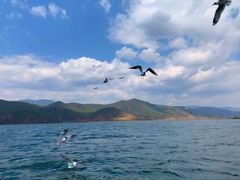 -丽江泸沽湖景区