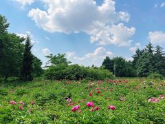 -长春公园(普阳街道)