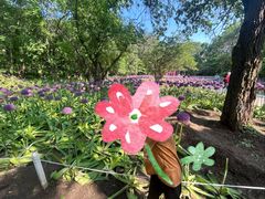 -沈阳植物园