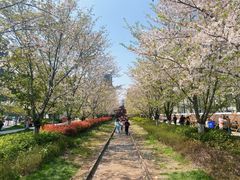 -新天地活力PARK