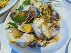 -食为先(Shark Fin)