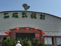 门面-石岐乳鸽村(桥观坊南四巷店)