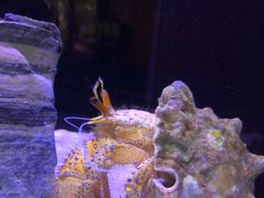 -海合安天津极地海洋公园
