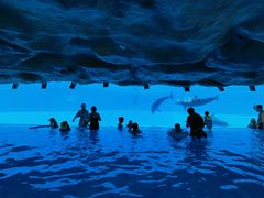 -横琴湾水世界