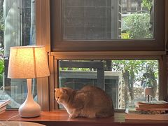 -咖法森林·咖啡  酒吧(天河店)