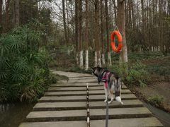 -桤木河湿地公园