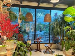-自由生长植物工作室(深港花卉中心店)