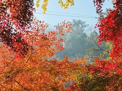 -狼山风景名胜区