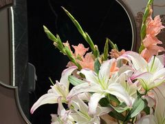 -紫泥369粗粮季(四牌楼店)