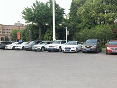 -大宁郁金香公园-停车场