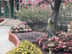 -珠海圆明新园