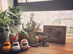 -帝京日语(春熙路旗舰校区)