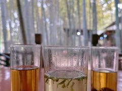 -宝岩生态观光园