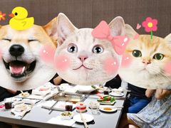 -海底捞火锅(金光华店)