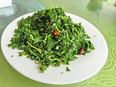 -金台阶鱼馆(于桥水库店)