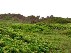 -龙坑生态保护区