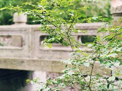 -虎丘山风景名胜区