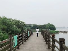 -吴淞炮台湾湿地森林公园烧烤区