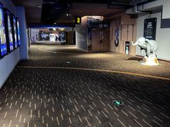 -万达影城(江北万达广场IMAX店)