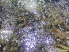 -聚盛源蒸汽海鲜火锅烤肉自助(巨川金海岸购物广场店)