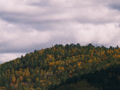 -莫尔道嘎国家森林公园