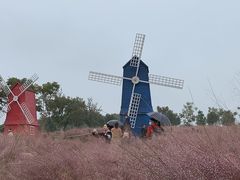 -花博汇(知音花月夜)