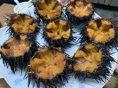 -海胆小馆(东北水饺·春柳店)