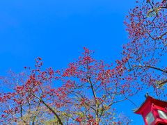 -广州中山纪念堂