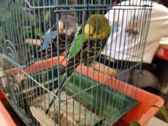 -休记光头香辣蟹干锅店(衣冠庙店)