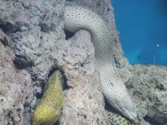 -福州罗源湾海洋世界旅游区