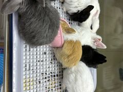-三旗百汇商品城
