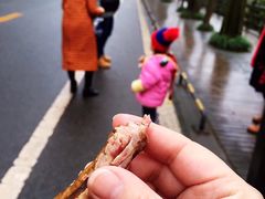 -张醪糟
