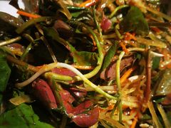 -老号尤兔头(幸福店)