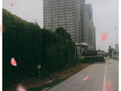 -万达广场(东莞厚街店)