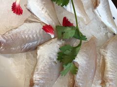 -大龙燚火锅(春熙店)