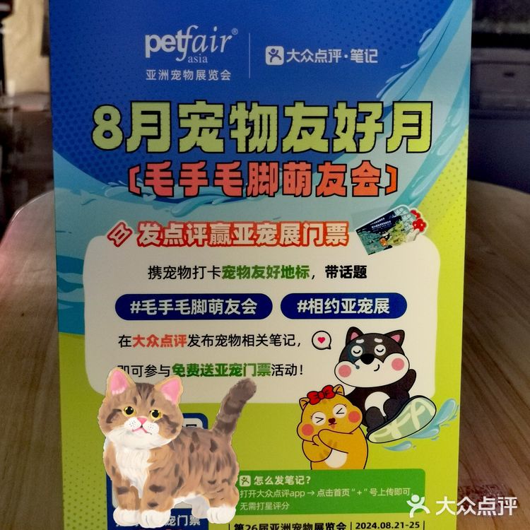 渔人码头偶遇《冲上云霄》同款缘分天使