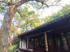 -秋霞圃