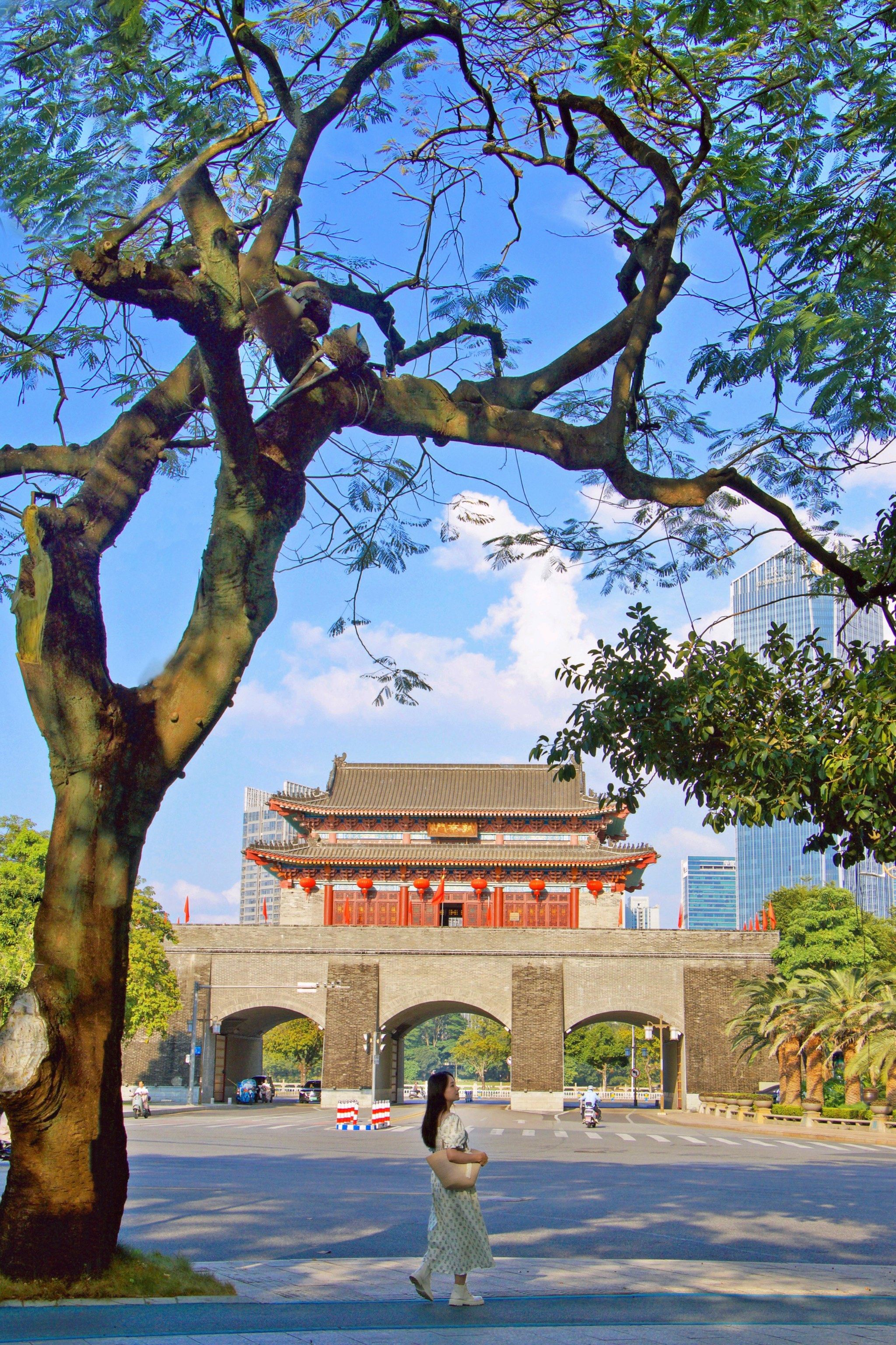 惠州🌳这座宝藏城市真的是迷人又美丽