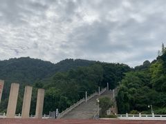 -铁山坪森林公园