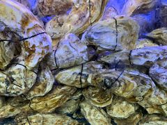 -青石桥市场北1-27号