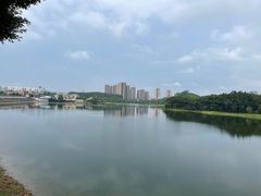 -广东科技学院(南城校区)
